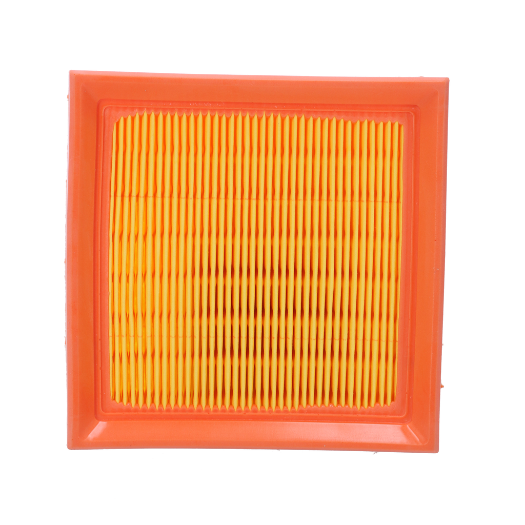 1002954 (2).png
