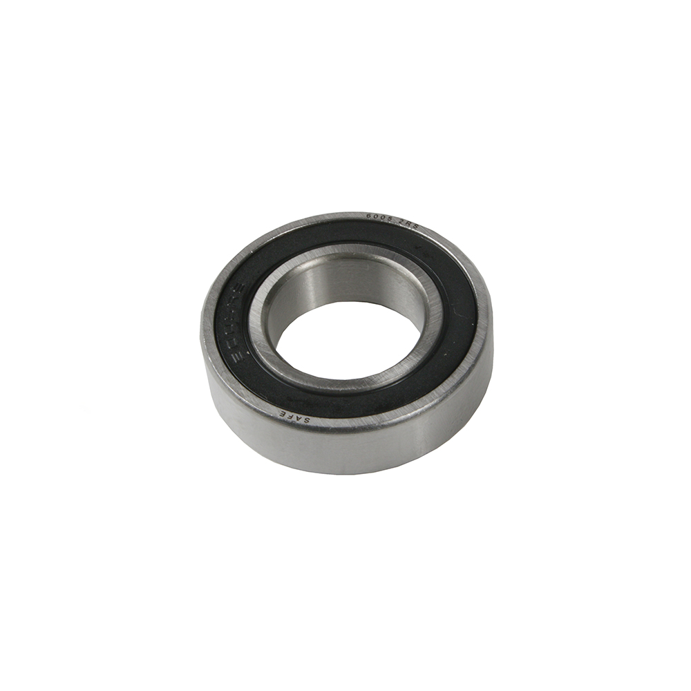 RULEMAN 6005 2RS SAFE